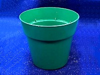 3" Round Bright Green Standard Pot